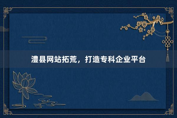 澧县网站拓荒，打造专科企业平台
