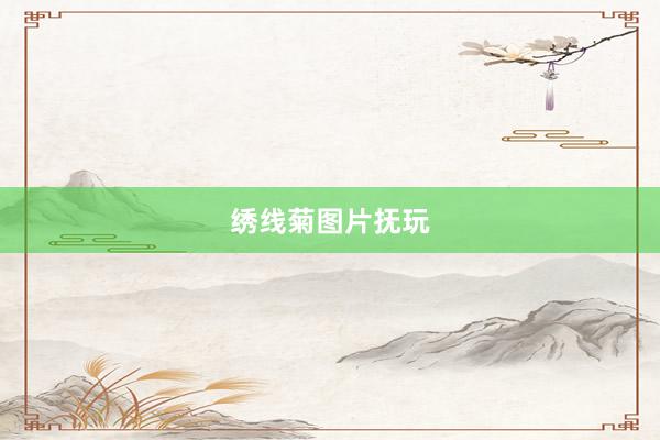 绣线菊图片抚玩