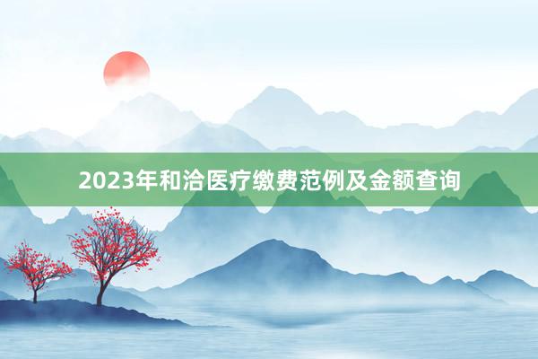 2023年和洽医疗缴费范例及金额查询