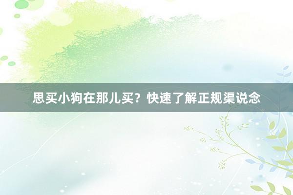 思买小狗在那儿买？快速了解正规渠说念